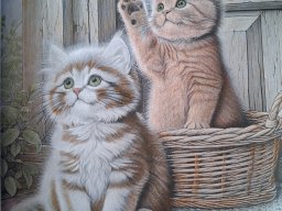 whatsapp bild 2025-11-13 um 12.01.22_9f25c23f